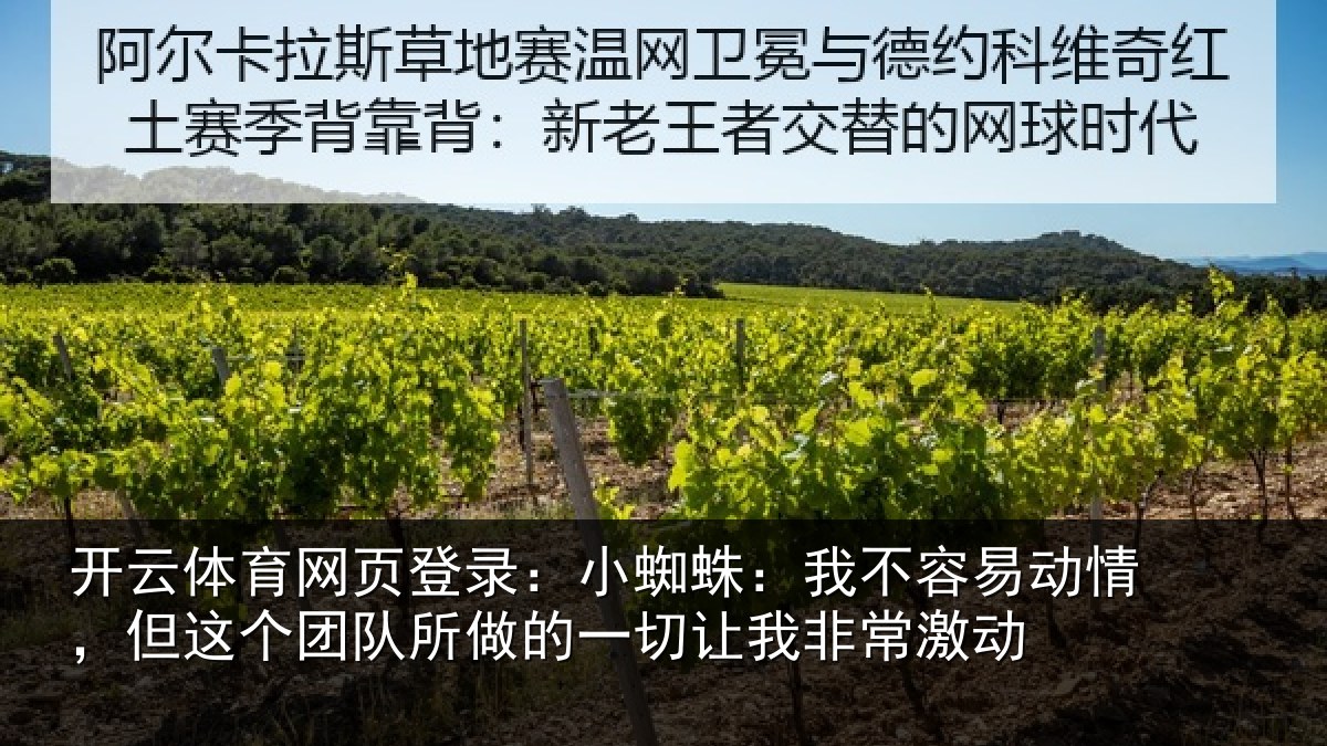 开云体育网页登录：小蜘相关情况这个相关情况我非常激动