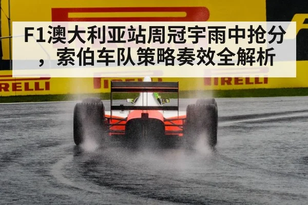 F1澳大利亚站周冠宇雨中抢分，索伯车队策略奏效全解析