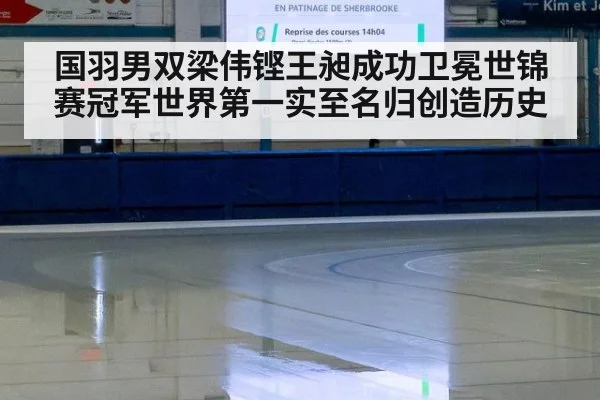 国羽男双梁伟铿王昶成功卫冕世锦赛冠军世界第一实至名归创造历史